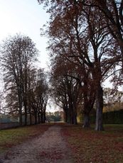 B-Herbststimmung 019.jpg